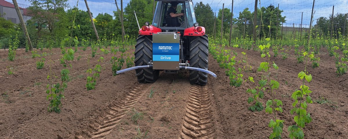 Raubmilben Ausbringung