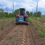 Raubmilben Ausbringung