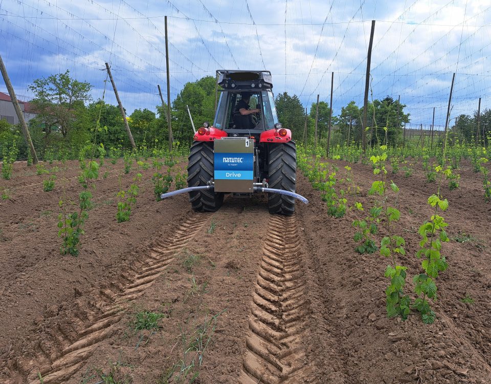 Raubmilben Ausbringung